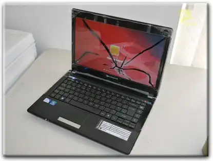 Замена матрицы Packard Bell в Бронницах
